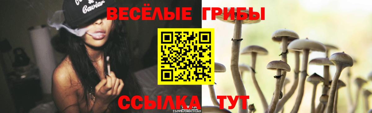 Кузнецк  купить наркотики цена  Вход с VPN  Псилоцибиновые грибы Cubensis 